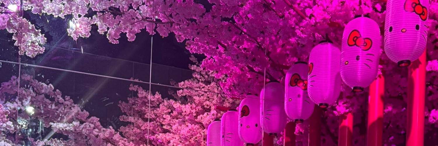 AAolani's profile banner image