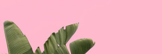 thalmel2092's profile banner image