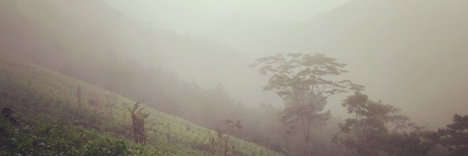 lainajkajbon's profile banner image