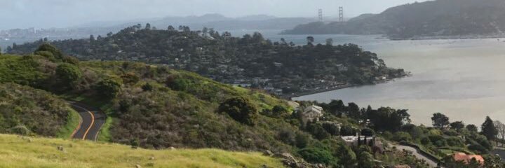 PutItOnMyTabe's profile banner image