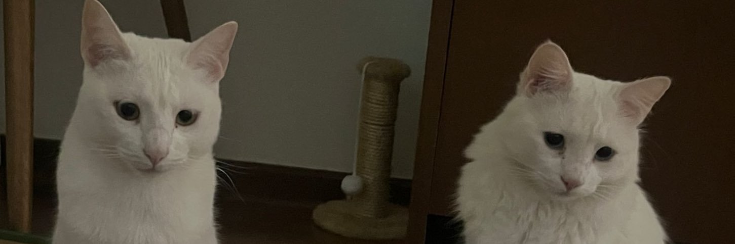 ؘ banner
