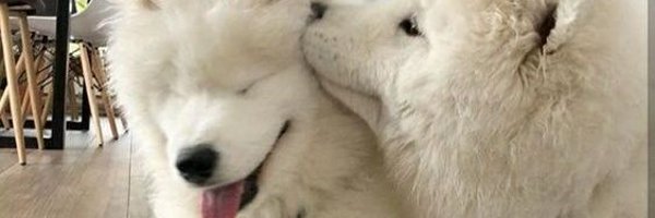 lleeffff Profile Banner
