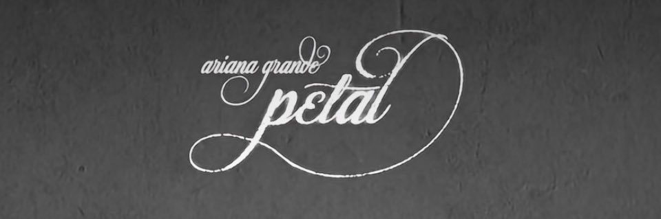 ꕤ banner