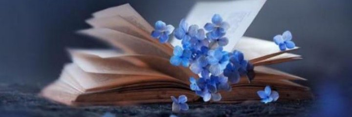 pakeeza_writes's profile banner image