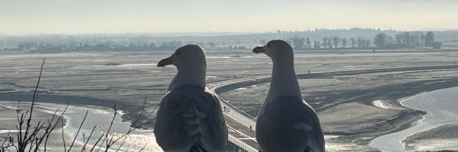 l3u_qca4's profile banner image