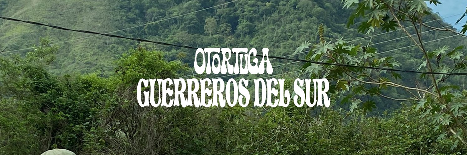 O_Tortuga's profile banner image