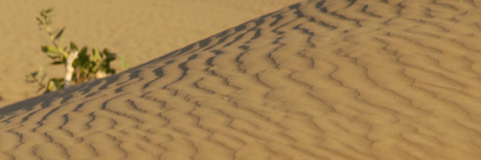 Christopher Wu banner