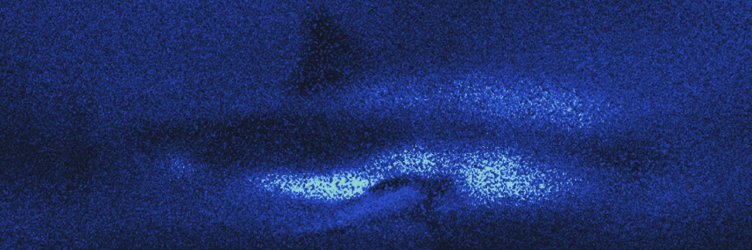 Poolshark Protocol 🦈 banner