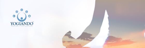 Yogiando1's profile banner image