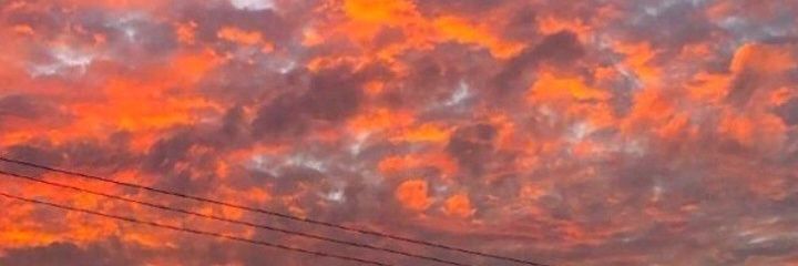 celipicca's profile banner image