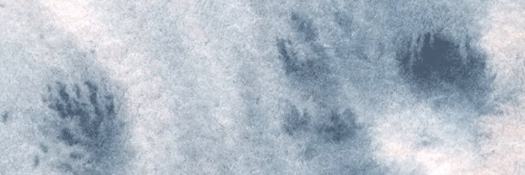 routineband's profile banner image
