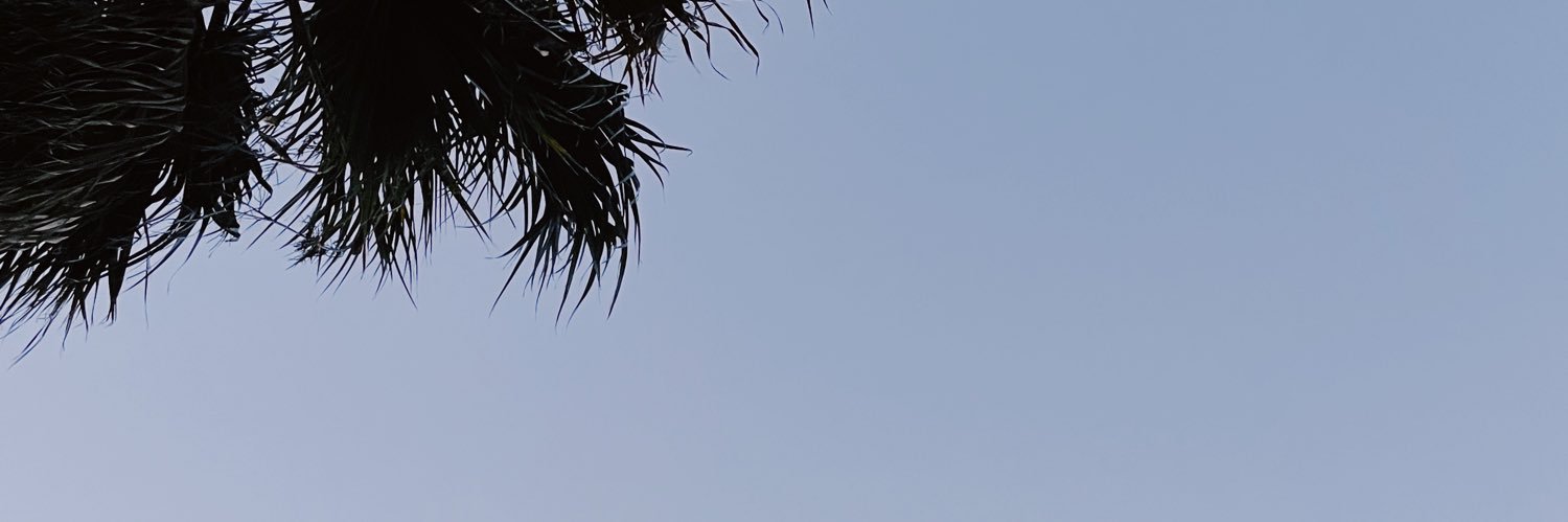 caitlinnbowen's profile banner image