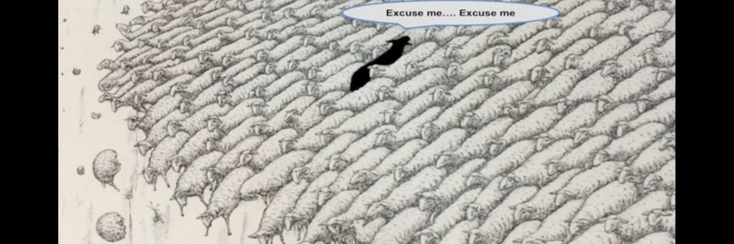 gvanrelll's profile banner image