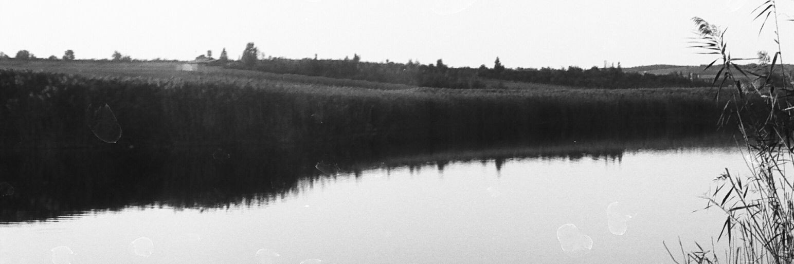 AliShekarriz.ᴱᵀᴴ.ᵀᴱᶻ banner