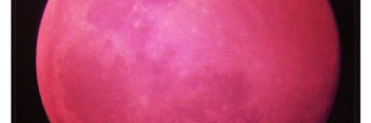 applepie0517's profile banner image