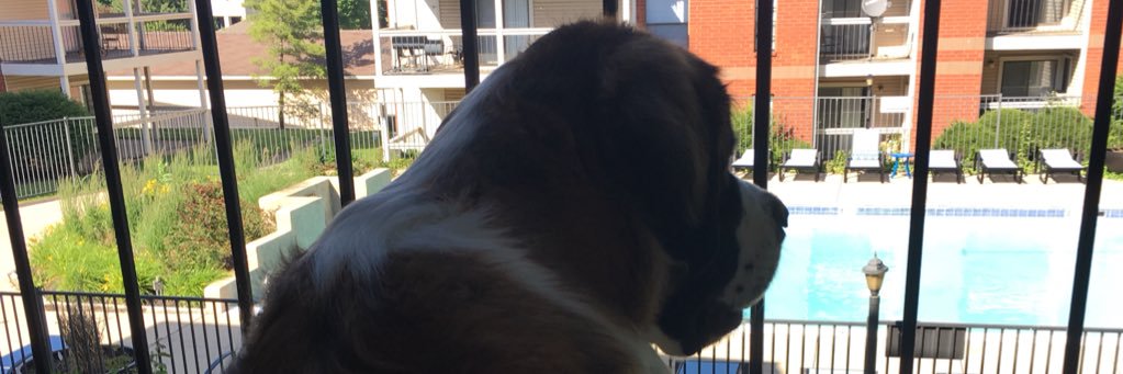 Bradyflash's profile banner image