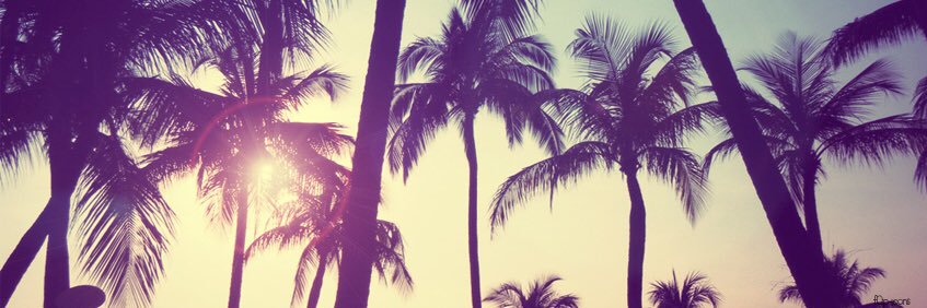 LeanPisciano's profile banner image