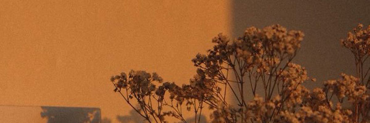 Sarah 🍂 banner