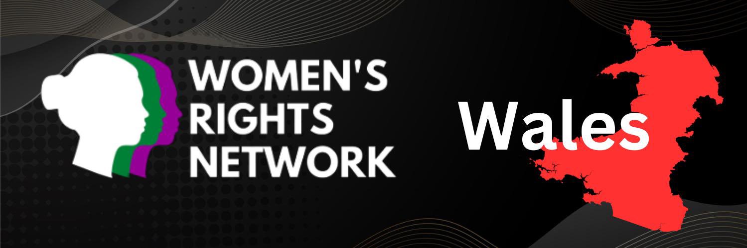 Wales-Women’s Rights Network 💜🤍💚🏴󠁧󠁢󠁷󠁬󠁳󠁿's banner