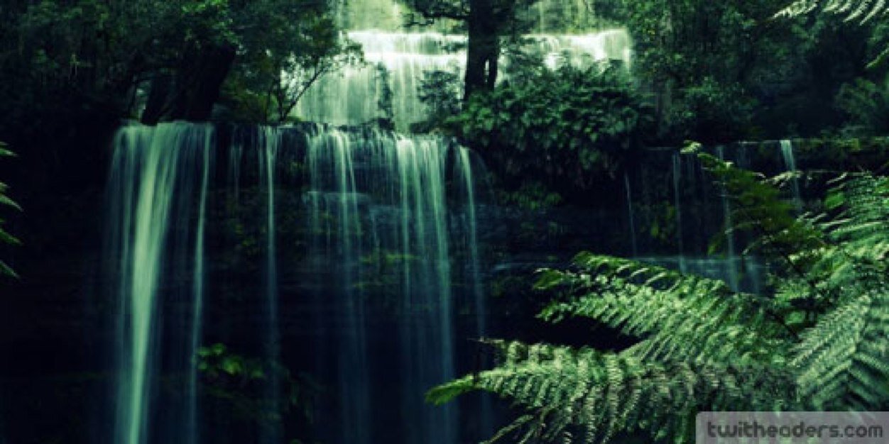 Aquarius_Emily's profile banner image
