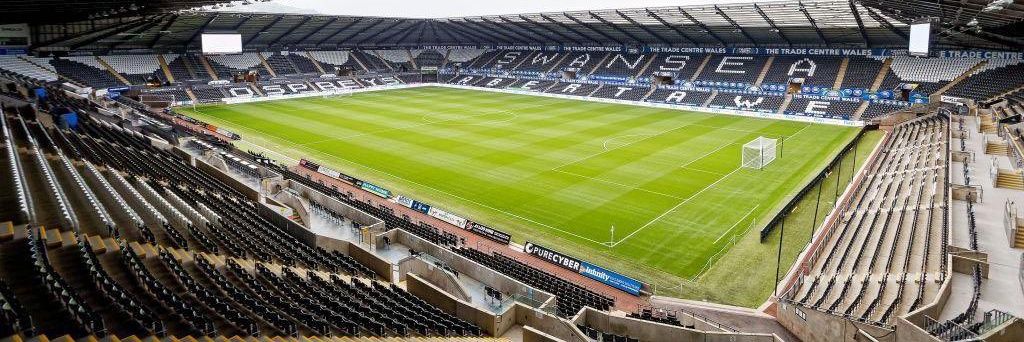 Jonesey 🏴󠁧󠁢󠁷󠁬󠁳󠁿🦢🍀 banner