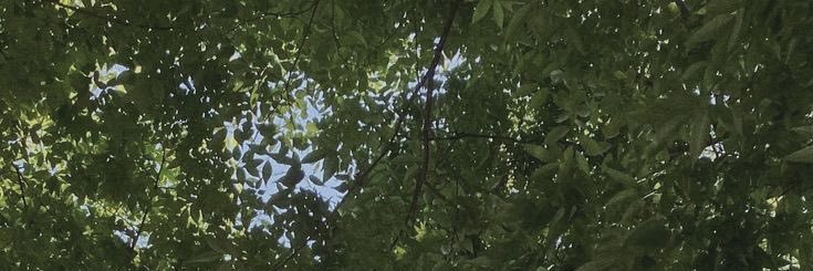 imluvimcat's profile banner image