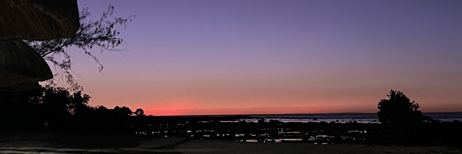 Pauliniacs's profile banner image