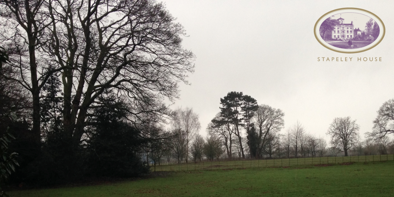 StapeleyHouse's profile banner image