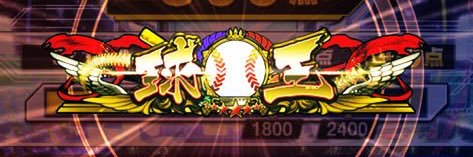 Papu banner
