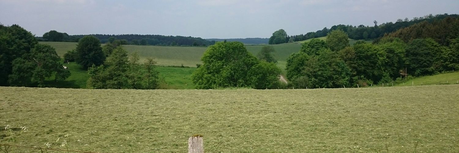 LAD_in_GAZ on Twitter &quot;Schwiegervater quatscht den