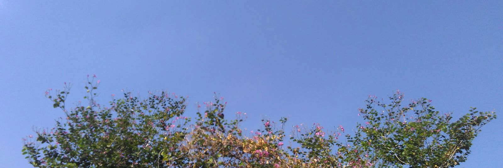 fdvy's profile banner image