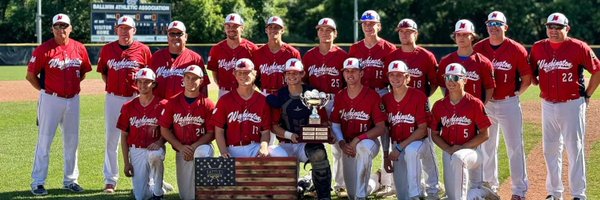 Post218Baseball Profile Banner