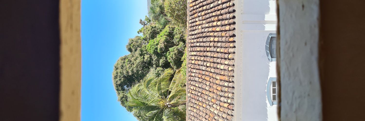 stalin, o autista banner