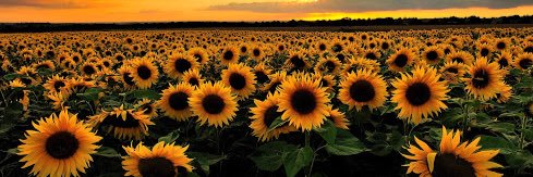 Putu Wulan Restu banner