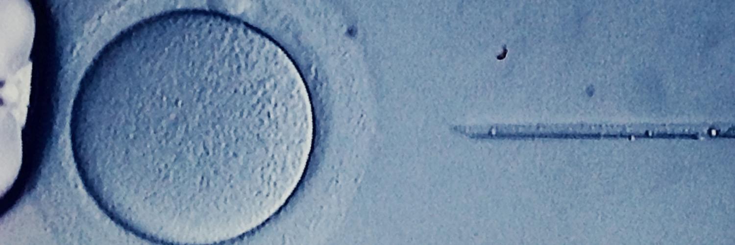 _CENFER's profile banner image