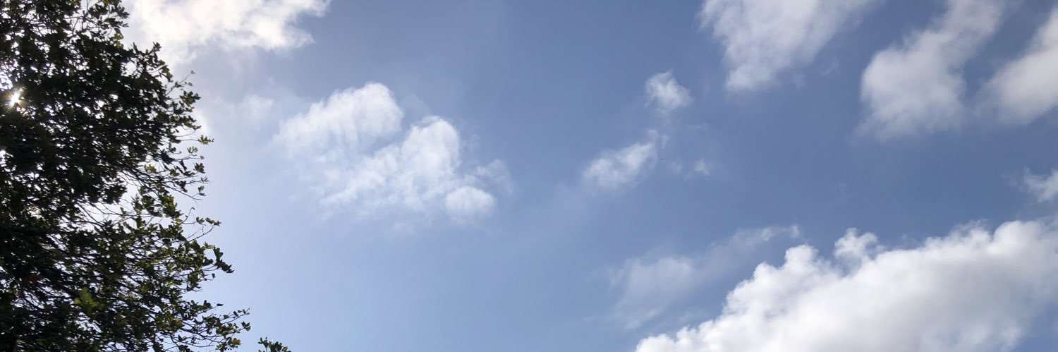 Blu22s's profile banner image