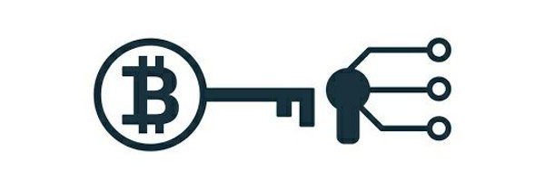 CryptoKey_1 Profile Banner