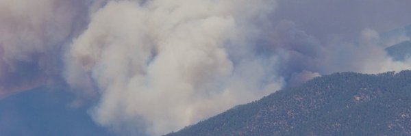 Bewickwren Profile Banner