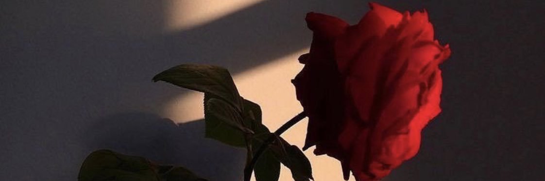 EssnNancyy's profile banner image