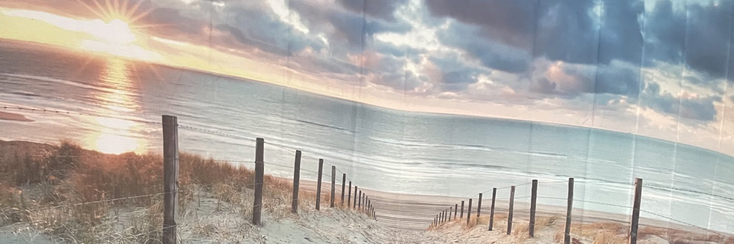 minniek22's profile banner image