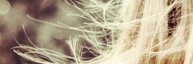 ALICELUS's profile banner image