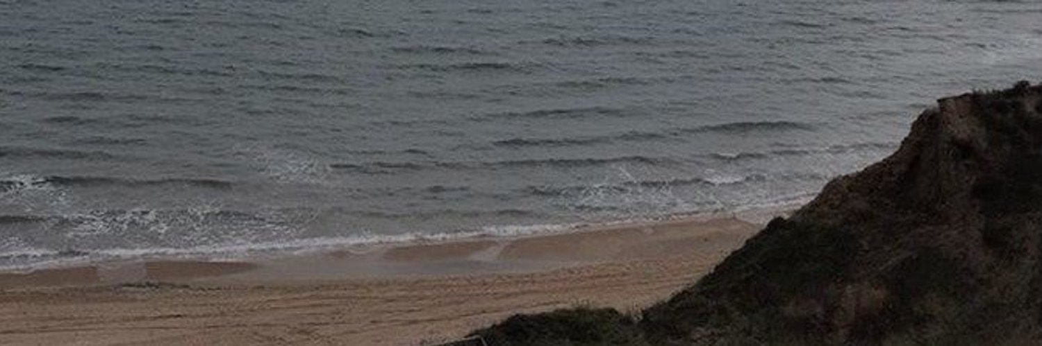 lffkf's profile banner image