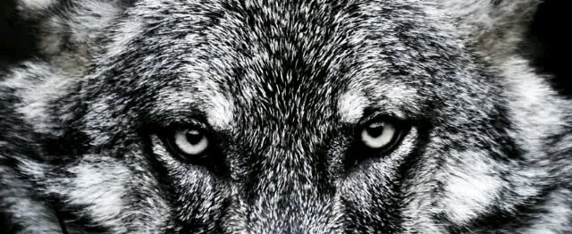 FacuGutierrez's profile banner image