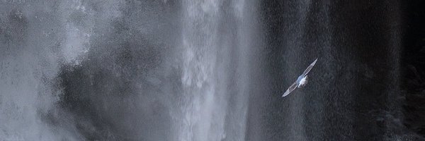 felixinden Profile Banner