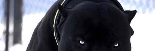 D_Dot_JS's profile banner image