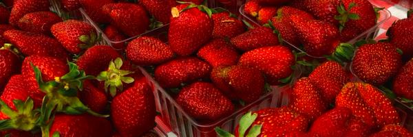 CentralFarmMKTs Profile Banner