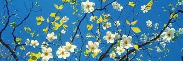 drapatygal Profile Banner