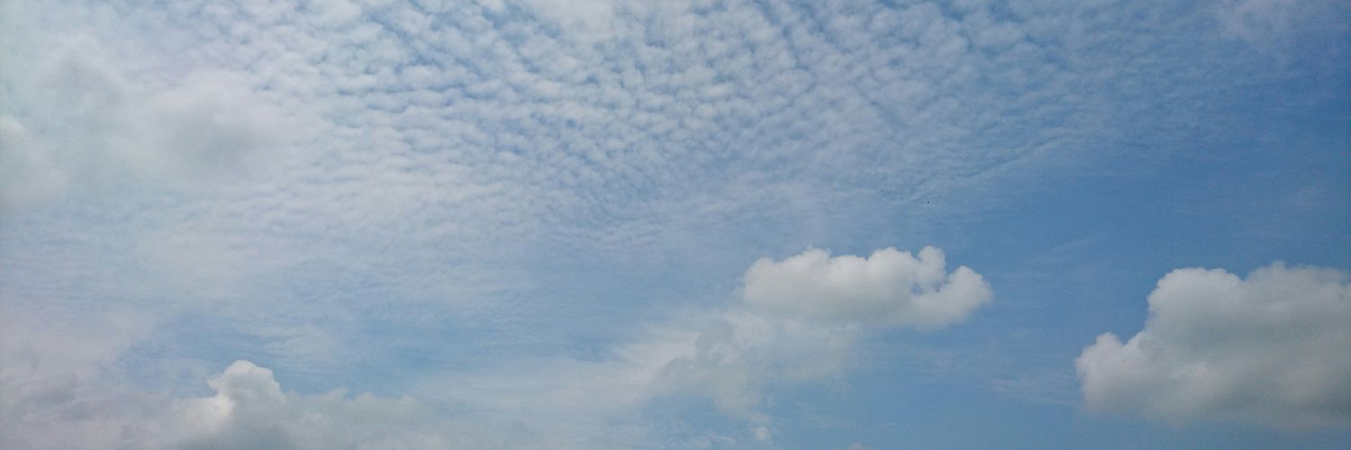 eribo63's profile banner image