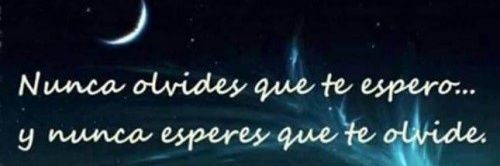 María Martínez banner