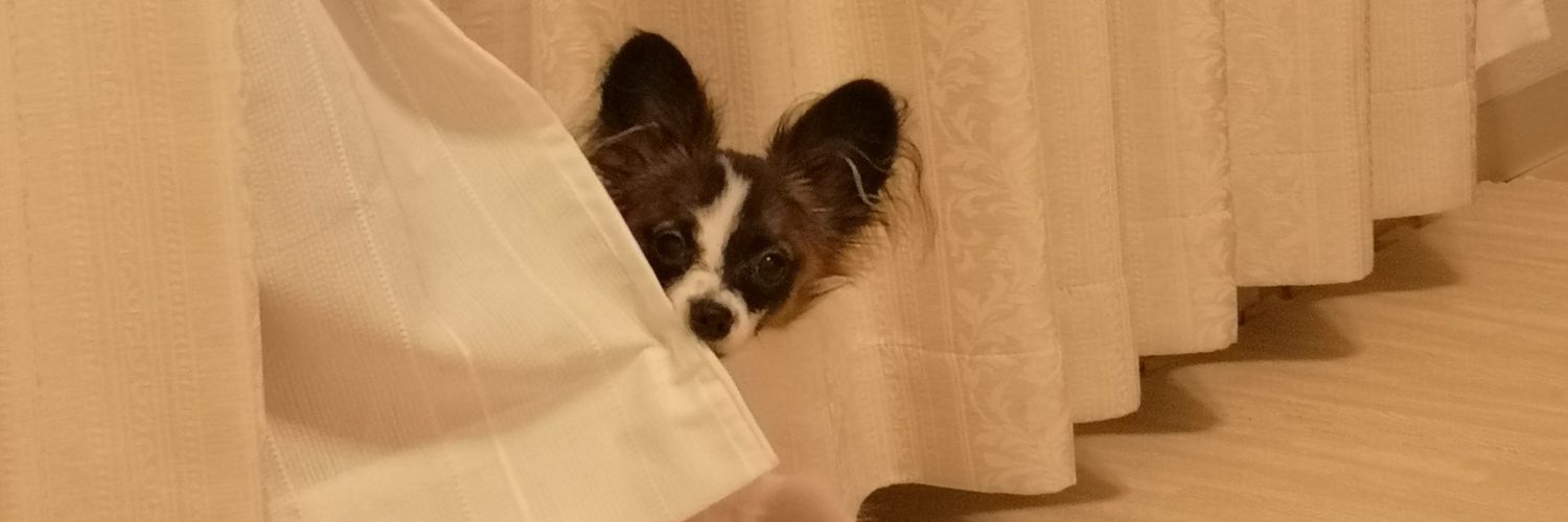 marz0's profile banner image